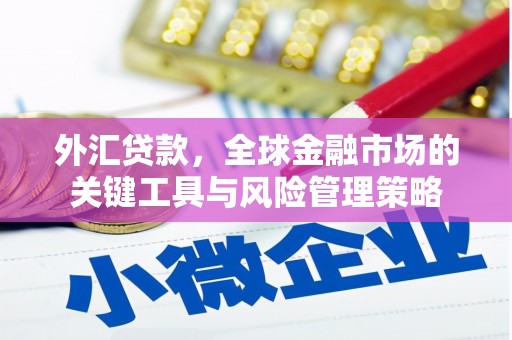 扎鲁特旗外汇贷款，全球金融市场的关键工具与风险管理策略