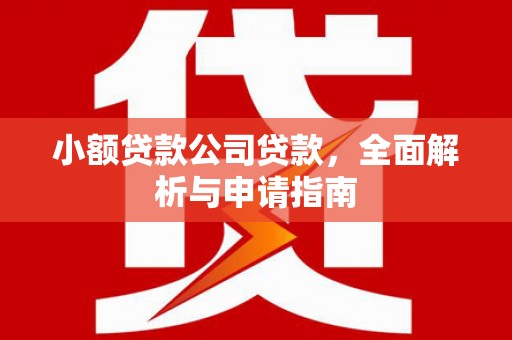 扎鲁特旗小额贷款公司贷款，全面解析与申请指南