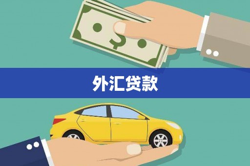 扎鲁特旗外汇贷款
