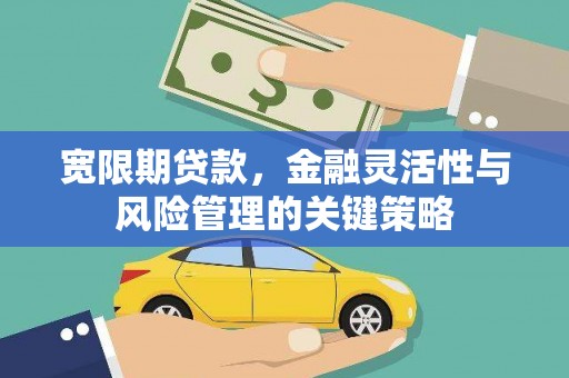 扎鲁特旗宽限期贷款，金融灵活性与风险管理的关键策略