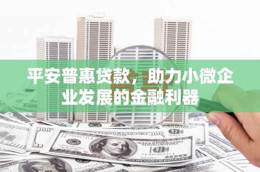 扎鲁特旗平安普惠贷款，助力小微企业发展的金融利器