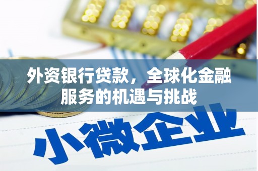 扎鲁特旗外资银行贷款，全球化金融服务的机遇与挑战