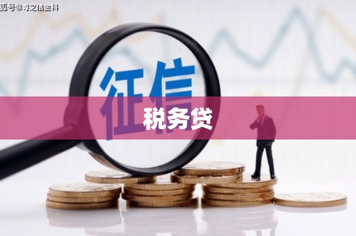 扎鲁特旗税务贷