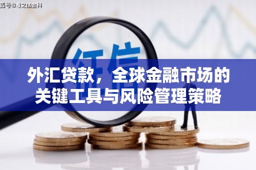 扎鲁特旗外汇贷款，全球金融市场的关键工具与风险管理策略