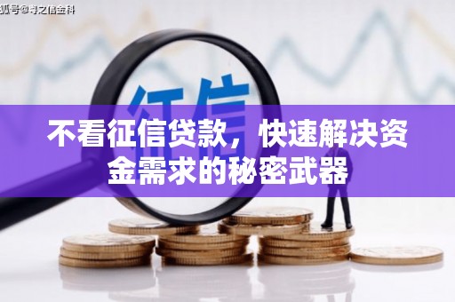 扎鲁特旗不看征信贷款，快速解决资金需求的秘密武器