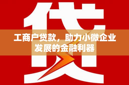 扎鲁特旗工商户贷款，助力小微企业发展的金融利器