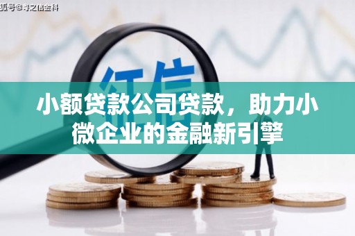 扎鲁特旗小额贷款公司贷款，助力小微企业的金融新引擎