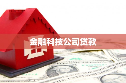 扎鲁特旗金融科技公司贷款