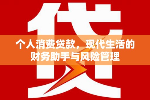 扎鲁特旗个人消费贷款，现代生活的财务助手与风险管理