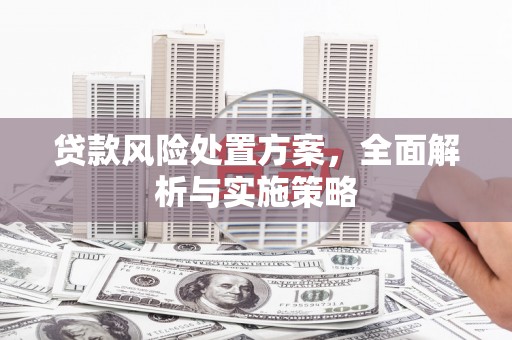 扎鲁特旗贷款风险处置方案，全面解析与实施策略
